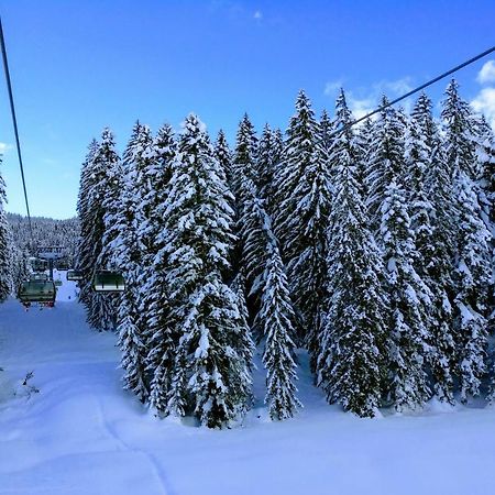 Pension Edelweiss Top 25 Gosau Extérieur photo