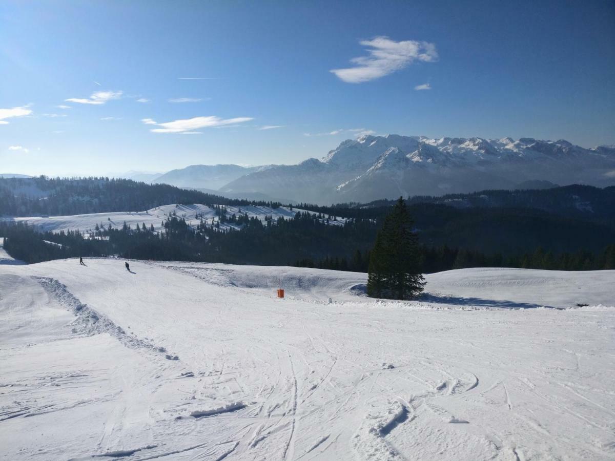 Pension Edelweiss Top 25 Gosau Extérieur photo