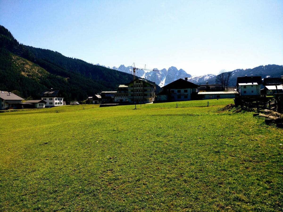 Pension Edelweiss Top 25 Gosau Extérieur photo