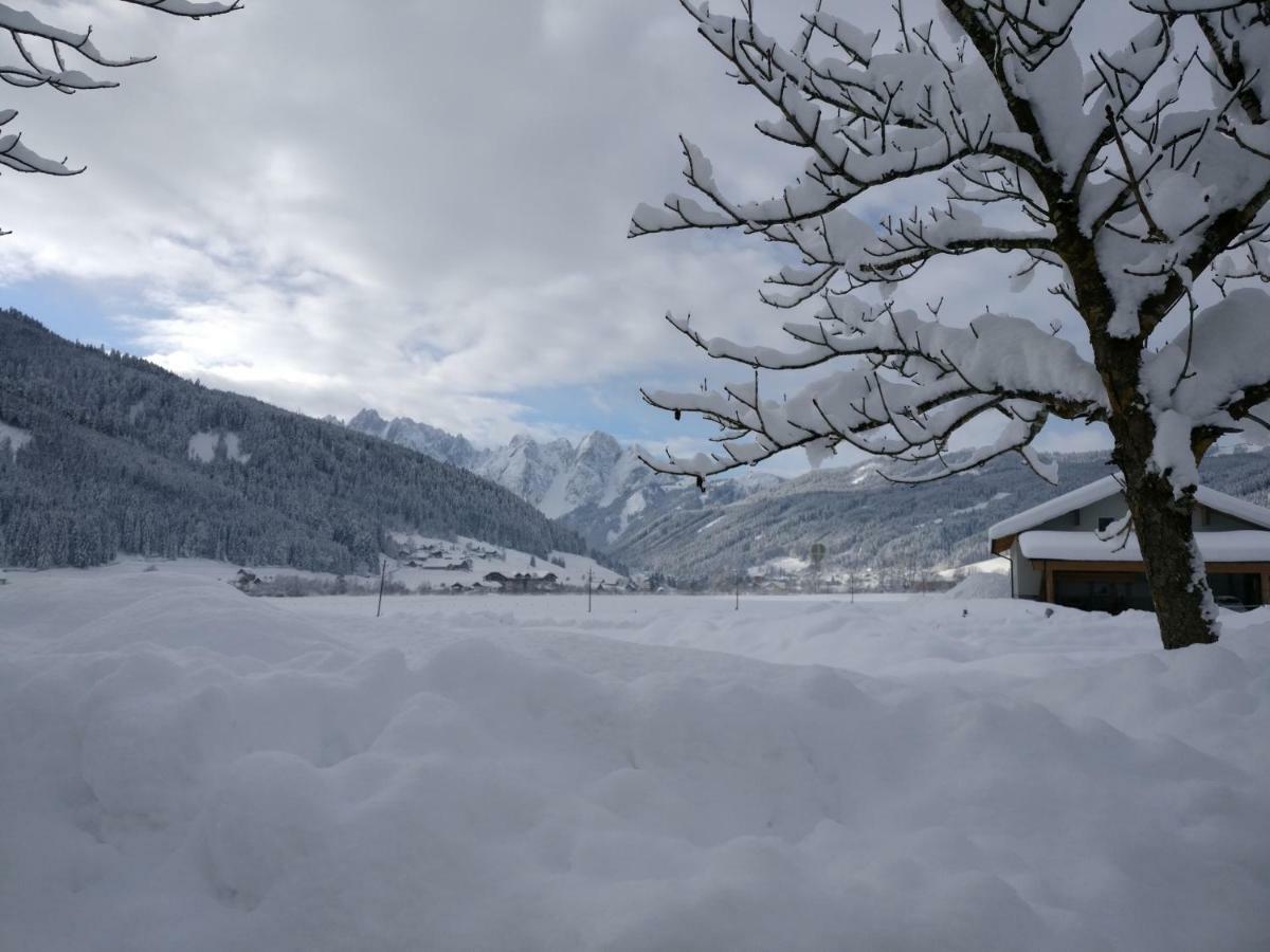Pension Edelweiss Top 25 Gosau Extérieur photo