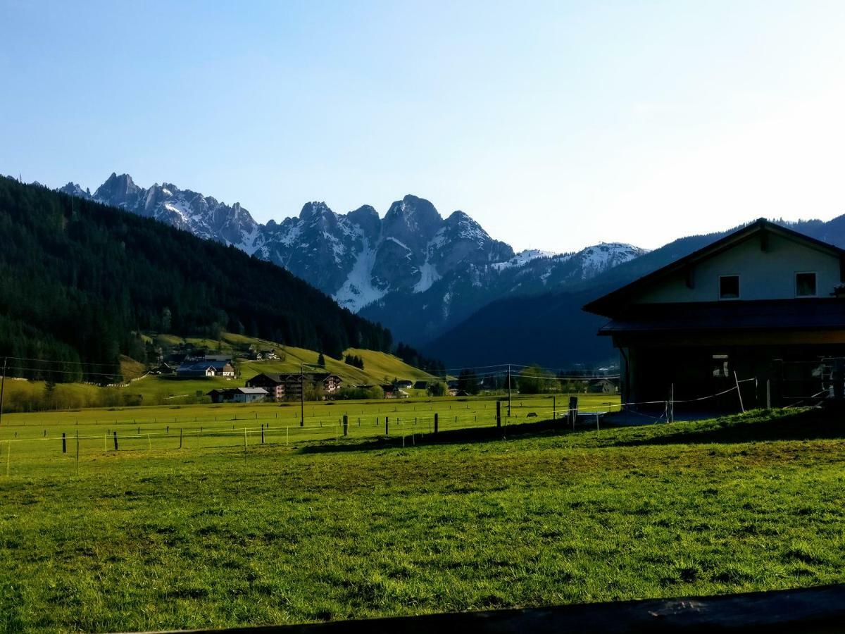 Pension Edelweiss Top 25 Gosau Extérieur photo