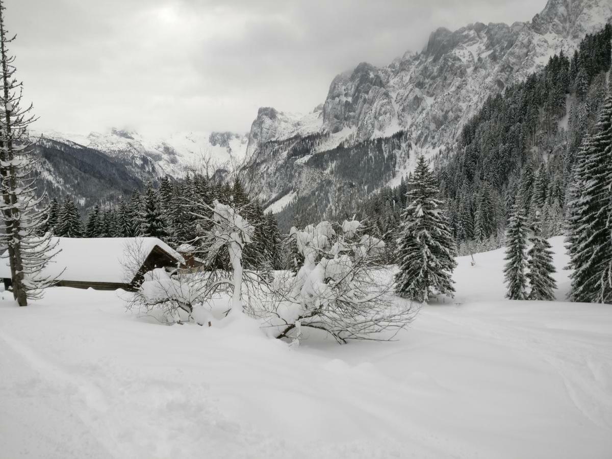Pension Edelweiss Top 25 Gosau Extérieur photo