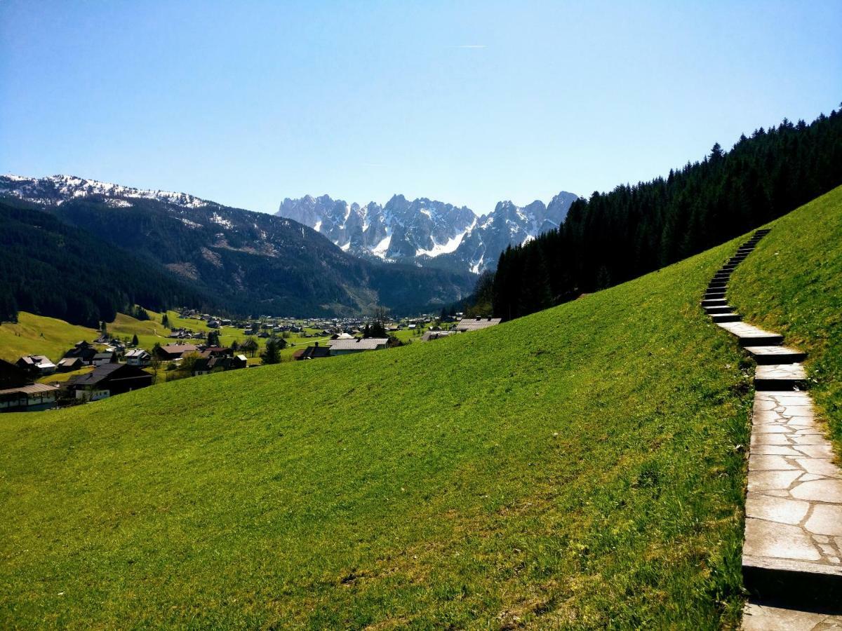 Pension Edelweiss Top 25 Gosau Extérieur photo