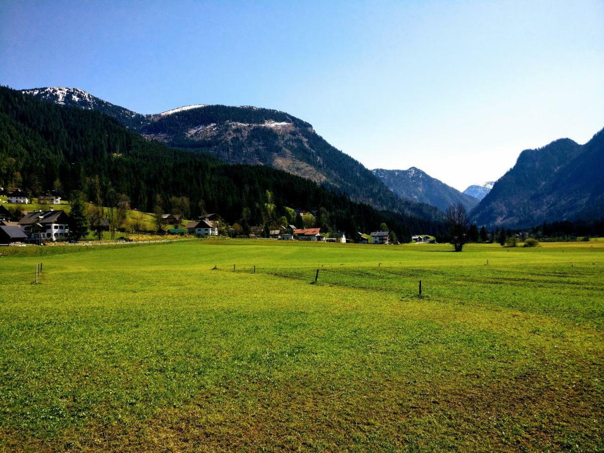 Pension Edelweiss Top 25 Gosau Extérieur photo