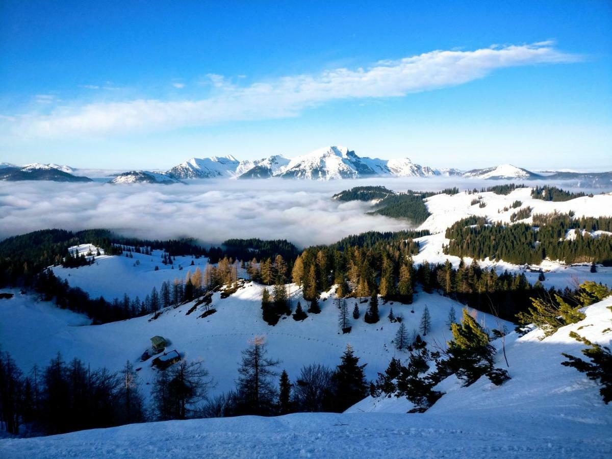 Pension Edelweiss Top 25 Gosau Extérieur photo