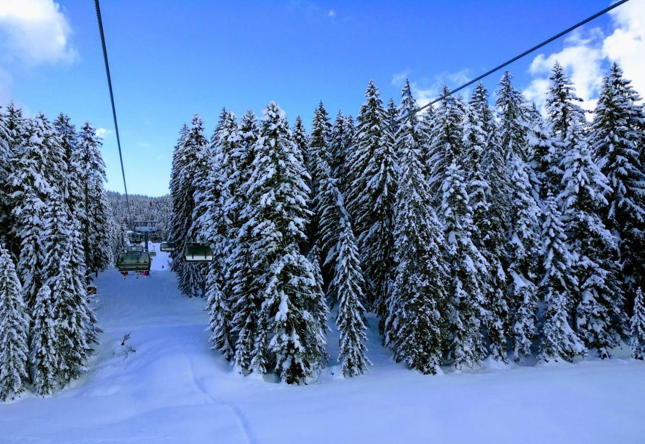 Pension Edelweiss Top 25 Gosau Extérieur photo